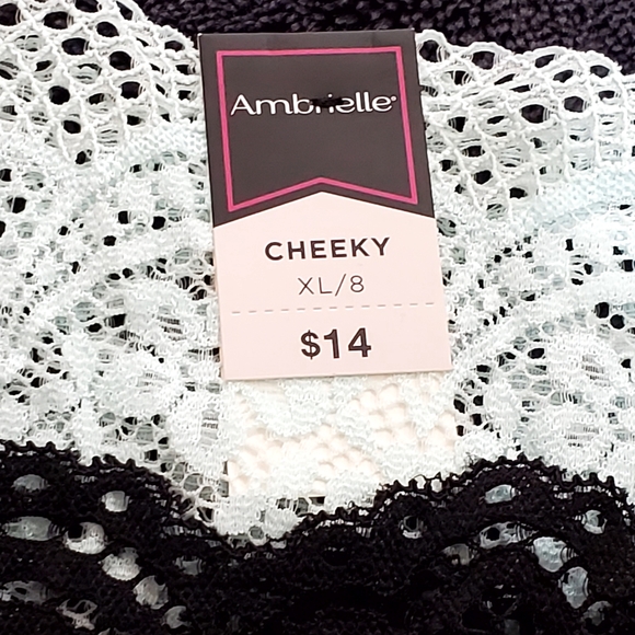 Ambrielle Cheeky Panties - Picture 1 of 4